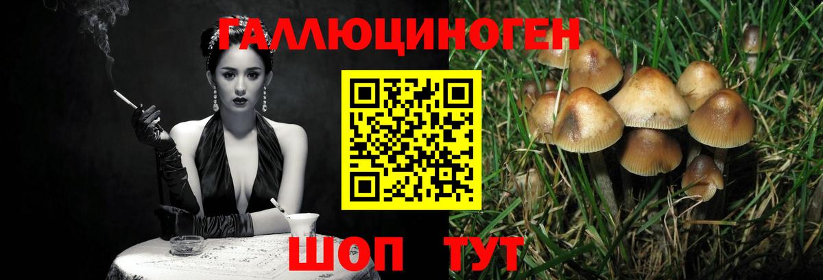 Комсомольск-на-Амуре  Псилоцибиновые грибы прущие грибы  Псилоцибиновые грибы Psilocybe  Вход с VPN 